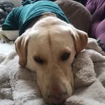 Liz Harrison - @lizharrison2023 - Instagram