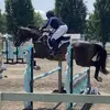 Liz Harrison - @liz_harrison_ - TikTok
