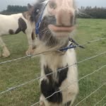 Liz Holmes - @elizabethedmeades40 - Instagram