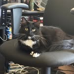 Liz Holmes - @eaholmes1968_ - Instagram