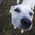 Liz Holmes - Facebook