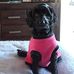 Liz Johns - Facebook