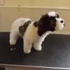 Liz Johns - @liz.johns - TikTok