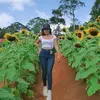 Liz Juarez - @lizjuarez5 - TikTok