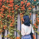 @liz_keith_161 - Instagram