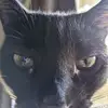 Liz Keith - @liz.keith71 - TikTok