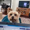 Lisa Kelliher - @lisakelliher3 - TikTok