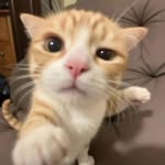 Liz Kemp - @lizkemp4 - Instagram