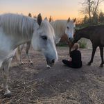 Liza Kimble - @equinefascia - Instagram