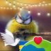Liz Larkin - Facebook