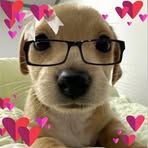 Liz Leal - Facebook