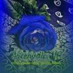 Liz Leal - Facebook
