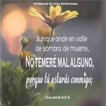 Liz Palomino - @lizlibreria - Instagram