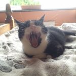 Liz Mc Cabe - @liz.mccabe.524 - Instagram