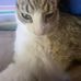 Elizabeth McCarty - Facebook