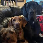 Liz McGee - @lizmcgee2 - Instagram