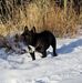 Liz McGee - Facebook