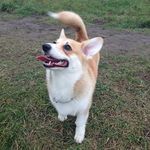 Liz McManus - @liz.mcmanus.754 - Instagram