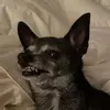 Liz McManus - @liz7378922574 - TikTok