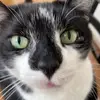 liZ - @liz.meaderrr - TikTok