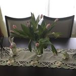 Elizabeth Morello - @lizmorello - Instagram