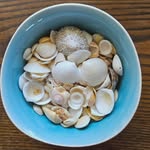 Liz Morrow - @lizziejmorrow - Instagram