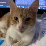 Liz H Munson - @lizmunson71 - Instagram