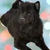 lizhmunson - @lizhmunson - TikTok