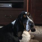 Liz Nagy - @liz_nagy56 - Instagram