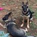 Liz Nagy - Facebook
