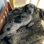Liz Needham - @liz.needham.568 - Instagram