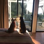Liz Needham - @needham.liz - Instagram