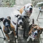 Liz Needham - @eaneedham - Instagram
