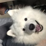 Liz Nelson - @liznelson62 - Instagram