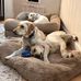 Liz Nickerson - Facebook