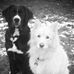 Liz Nickerson - Facebook