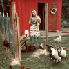Liz Orr - @lizorrfarm - TikTok