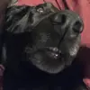 lizpetersen - @lizpetersen - TikTok