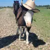 Liz Pierce567 - @lizpierce29 - TikTok