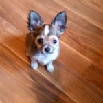 Liz Pierce - @liz.pierce.336 - Instagram