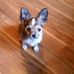 Liz Pierce - Facebook