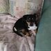 Liz Pulley - Facebook