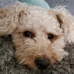 Liz Rees - @lizzyrees58 - Instagram