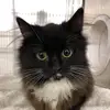 Elizabeth Reeves - @lizreeves - TikTok
