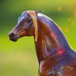Liz Reeves - @vailvalleyhorses - Instagram