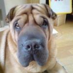 Liz Reeves - @lizreeves69 - Instagram
