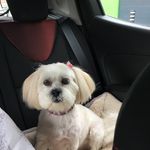 Liz Reilly - @reilly9170 - Instagram