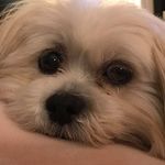 Liz Reilly - @liz.reilly.7547 - Instagram