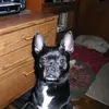 Liz Rush875 - @lizrush875 - TikTok