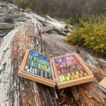 Liz Saunders Art - @lizsaundersart - Instagram